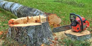 Best Firewood Processing and Delivery  in Pearl, MS